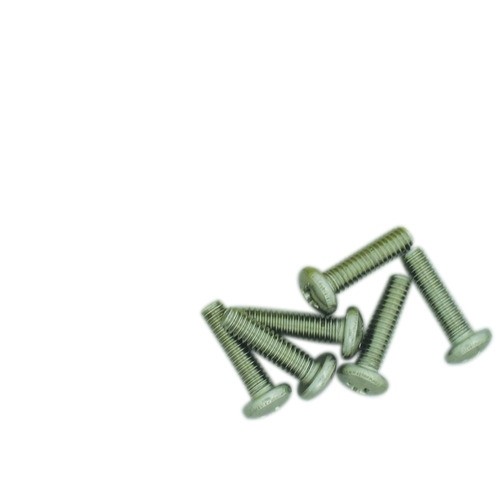 Tail Lamp Lens Screws