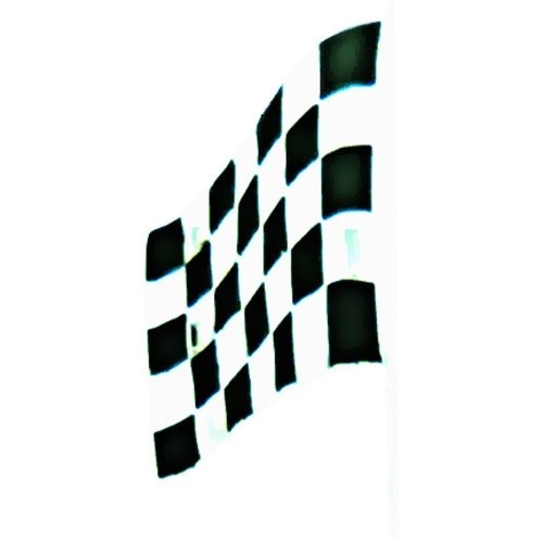 Black Flag Fender Emblems